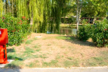 Pitch Standard Laguna - Trasimeno Glamping Resort