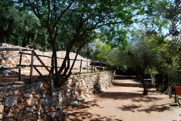 Parcela (šator) - Park Mara