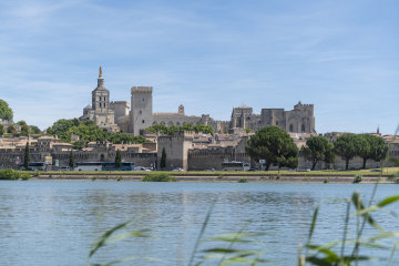 camping avignon parc vaucluse