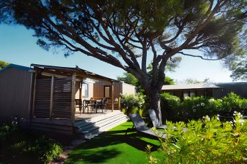 Premium Plus Vineyards side 2 persons - Les Mûres