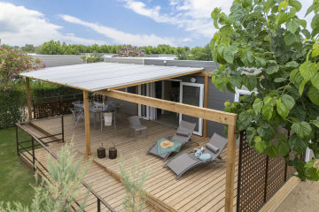 Especial Premium - Amfora