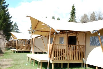 Dreamer 49 - Arden Parks Petite Suisse