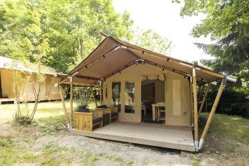 Comet - Arden Parks Petite Suisse