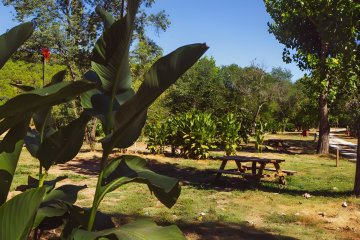 Parcela premium - Domaine d'Anglas