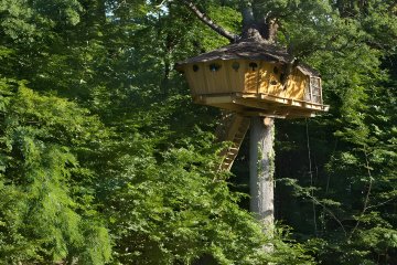 Tree house - 20m² - Parc de Fierbois