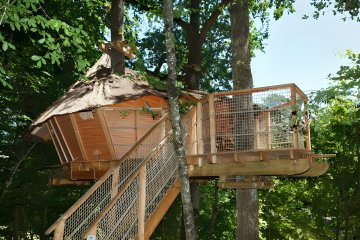 Cabane familiale - 30 m2 - - Parc de Fierbois