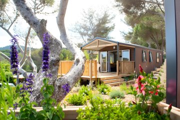 PANAMA / 2 chambres - Camp du Domaine