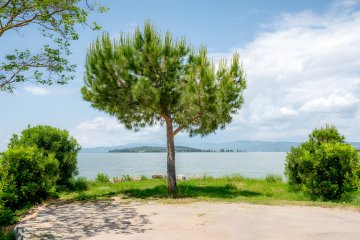 Pitch Standard Lake - Trasimeno Glamping Resort