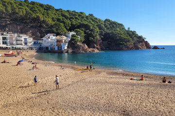 camping calella de palafrugell costa brava
