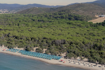 Maremma Sans Souci