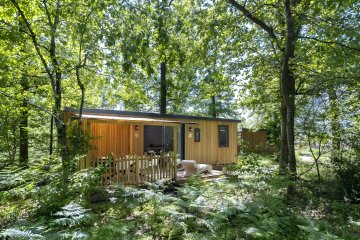 Cottage Keywest Forest Camp 3 bedrooms Premium - Les Alicourts