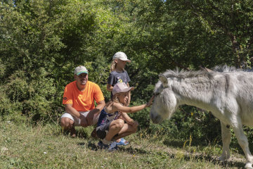 camping les bois du chatelas bourdeaux