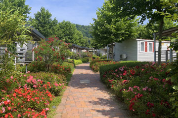camping solcio village lac majeur
