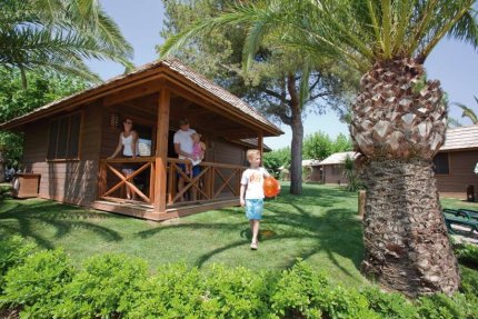 PALM TREE VILLA - Playa Montroig