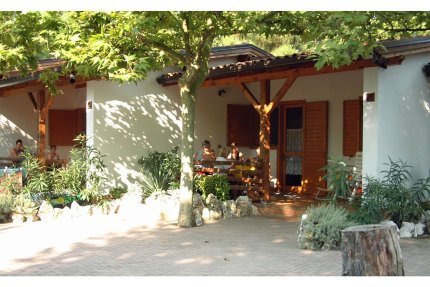 Bungalow 'Mimosa' - 32m² - 2 habitaciones - Village Tahiti