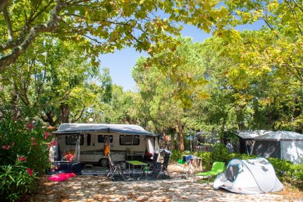 Côté platanes - Camp du Domaine
