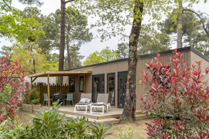 Cottage 3 bedrooms PREMIUM - L'Orée du Bois