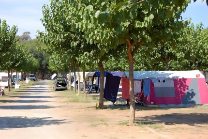 EMPLACEMENT plus - Mas Patoxas