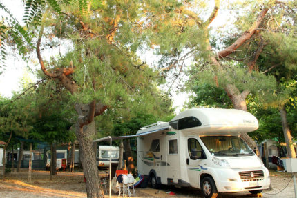 Pitch camping-car Lodge Hill - Pineto Beach Village
