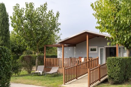 Especial Dog (PMR) - Amfora