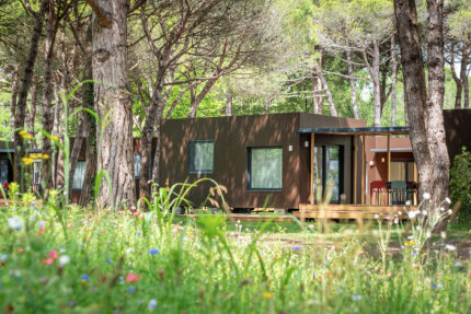 Pardis Lodge - Ca&#39;Savio