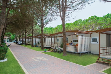 Maxi Caravan Magic Top Chalet - Joker
