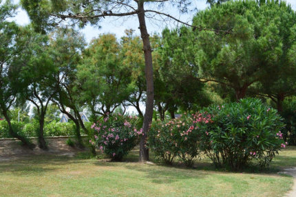 Emplacement + Eau ** - Les Tropiques