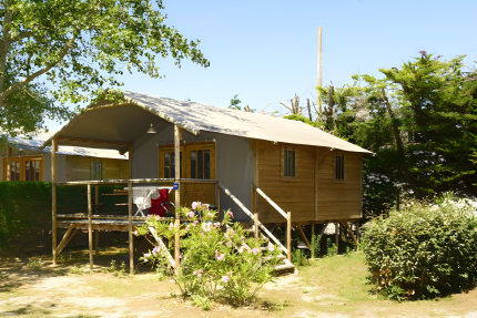 Cabaña Lodge  Confort+ 38m² (2 habitaciones) terraza cubierta 8m² - Le Bois d'Amour