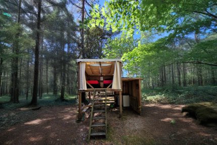 Ecolodge Campétoile 1 Pièces 2 Personnes Sans Sanitaire - Le Bois de la Gachère