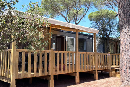 ARIZONA COMFORT - Club Les Palmiers