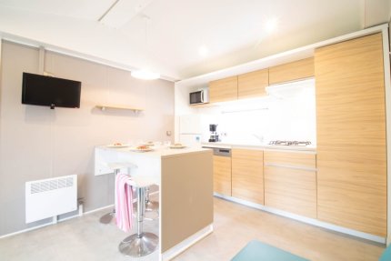 Mobile-Home OPALE PREMIUM 4 people - Le Dauphin