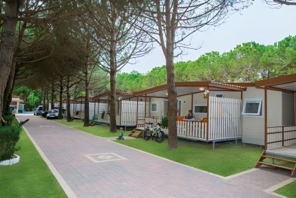 Maxi Caravan Magic Top Chalet - Joker
