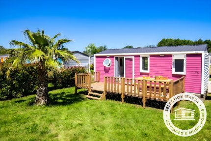 Mobil Home Confort 4 Pièces 6 Personnes Climatisé + TV - Taxo les Pins