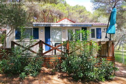 Mobilheim Savanah 2 Zimmer 30m² - La Pinède