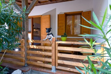 Bungalow „Mimosa“ – 32 m² – 2 Schlafzimmer - Village Tahiti