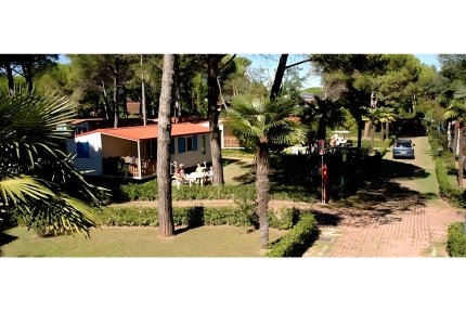 Mobilheim Acquamarina - Village Pino Mare