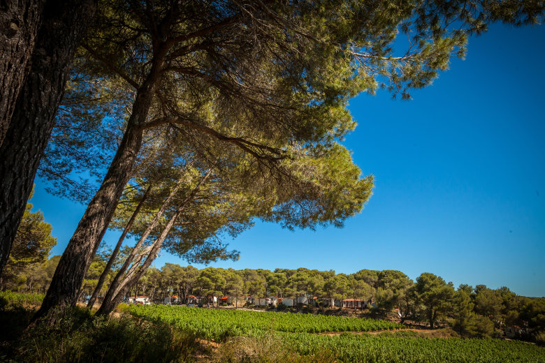 camping la pinede castelnaud de guers