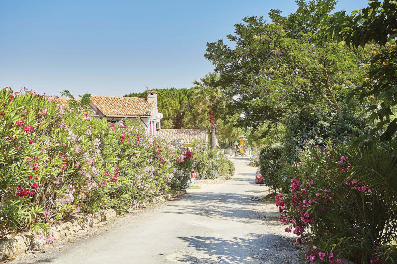 camping des alberes pyrenees orientales