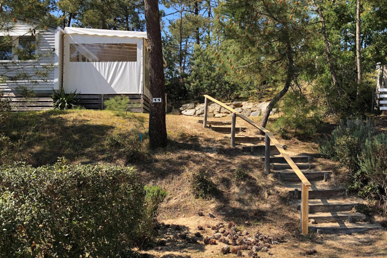 camping le domaine des pins saint hilaire de riez