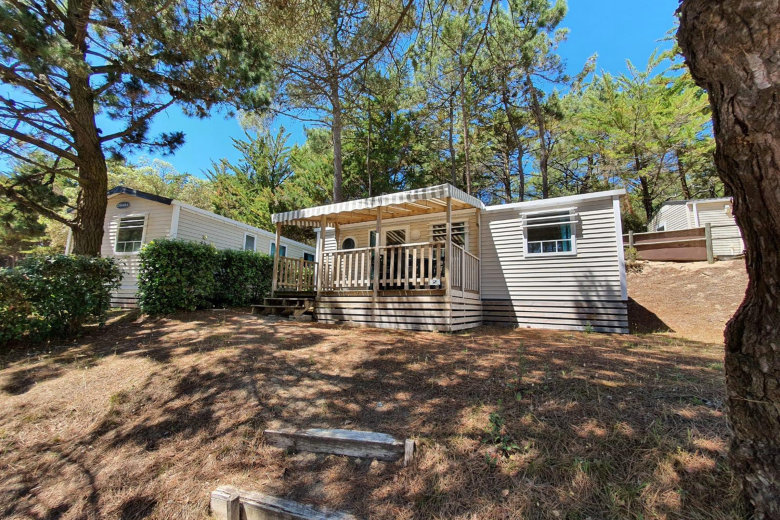 camping le domaine des pins saint hilaire de riez