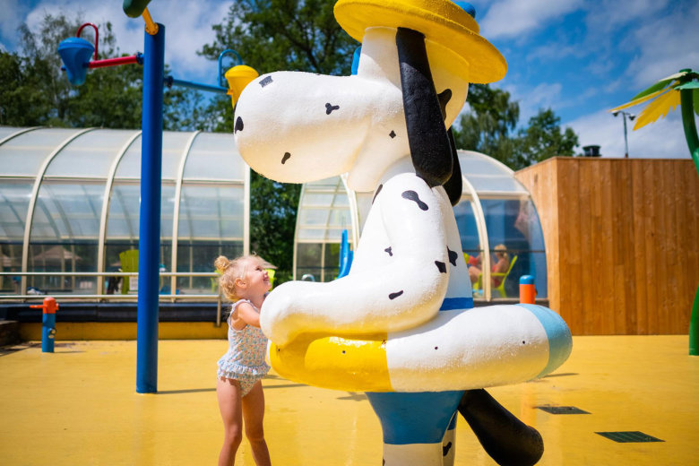 camping papillon country resort denekamp