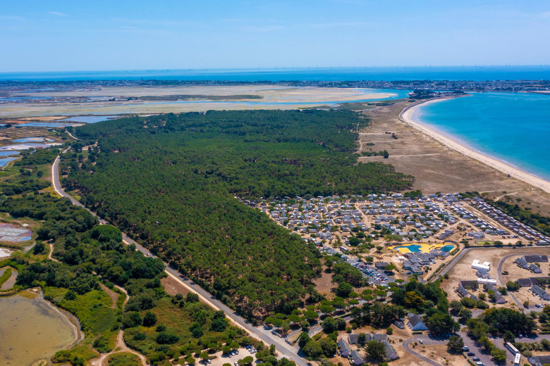 camping les chardons bleus la turballe