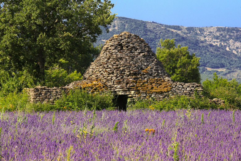 camping le luberon apt