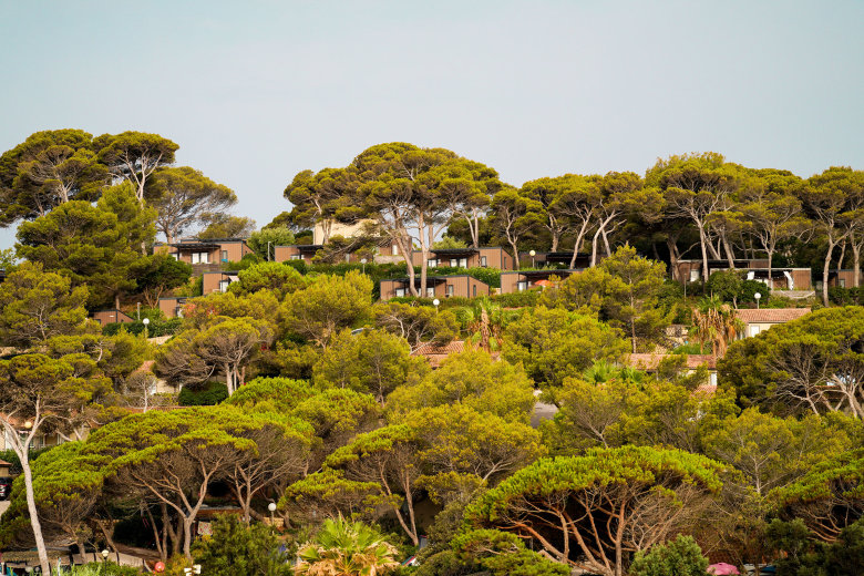 camping camp du domaine bormes les mimosas