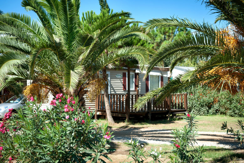 camping le soleil de la mediterranee saint cyprien