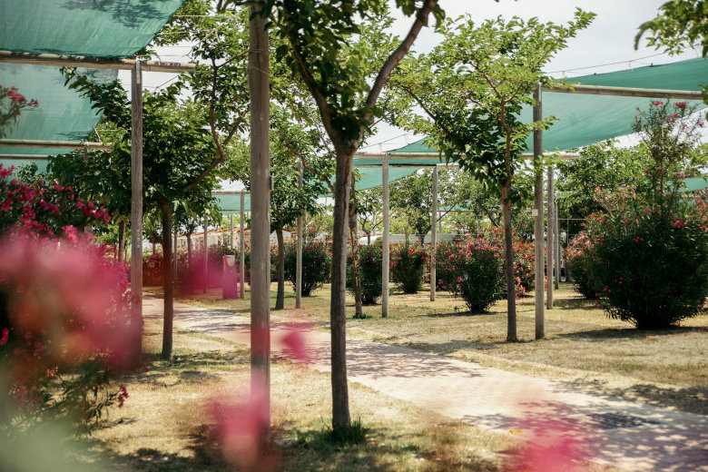 camping heliopolis pineto