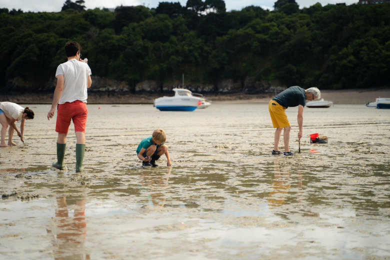 camping cap de brehat paimpol