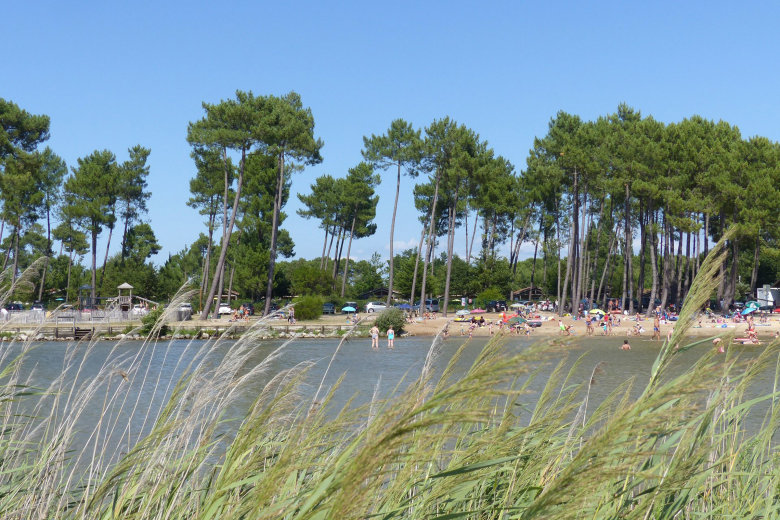 camping le pipiou parentis en born