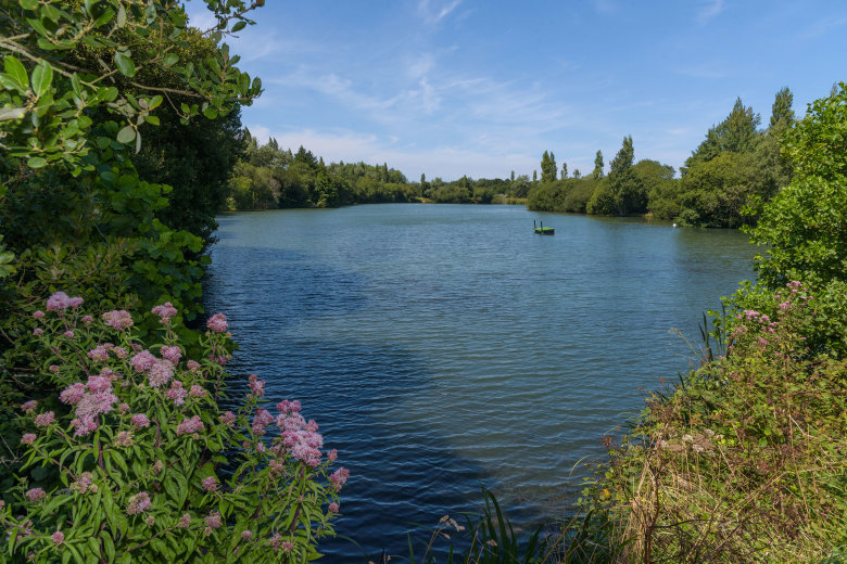 camping domaine de mesqueau plougasnou
