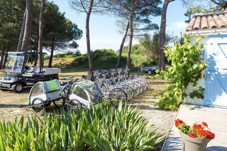 camping tamarins plage le bois plage en re